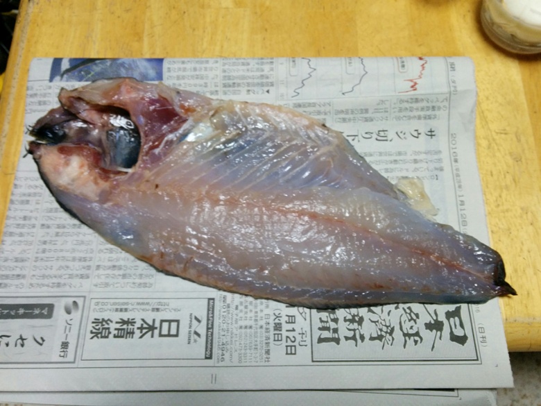 メジナ一夜干し