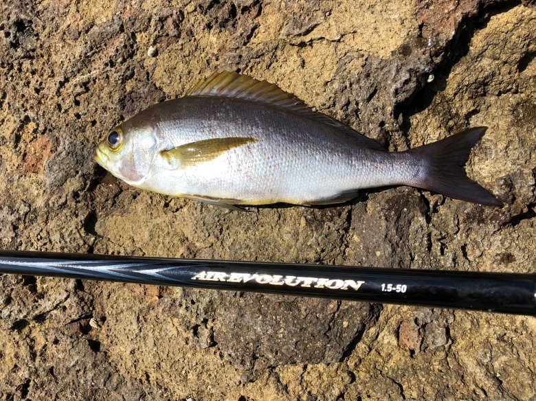 エア エボリューション