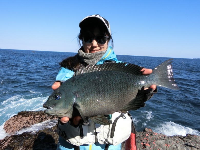 エア エボリューション