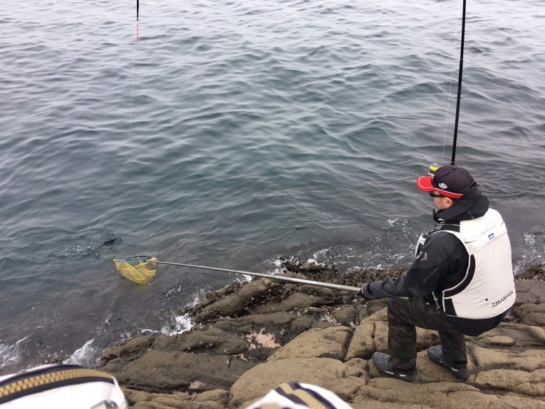 エア エボリューション