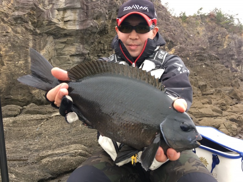 エア エボリューション