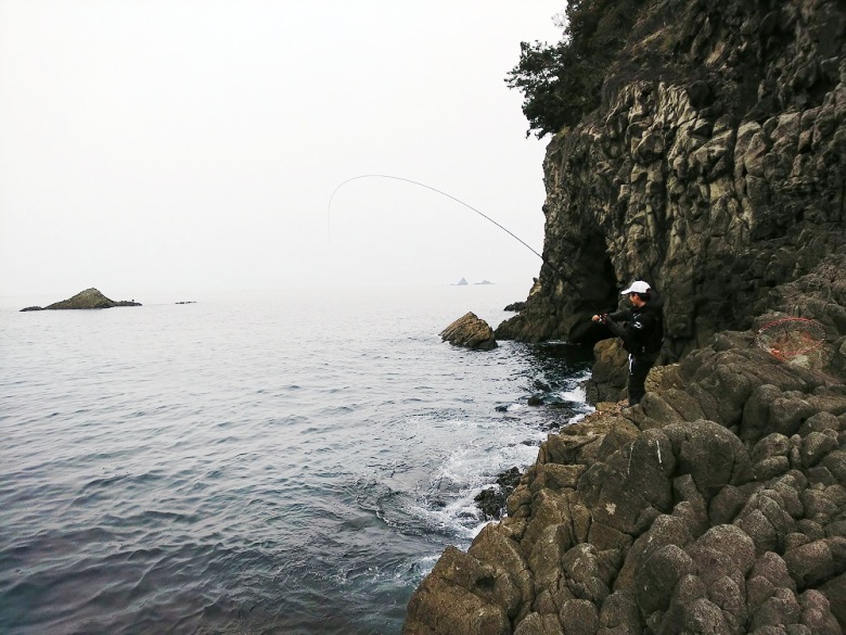 エア エボリューション