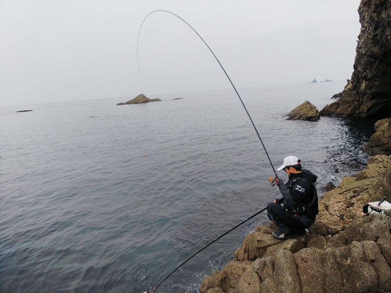 エア エボリューション