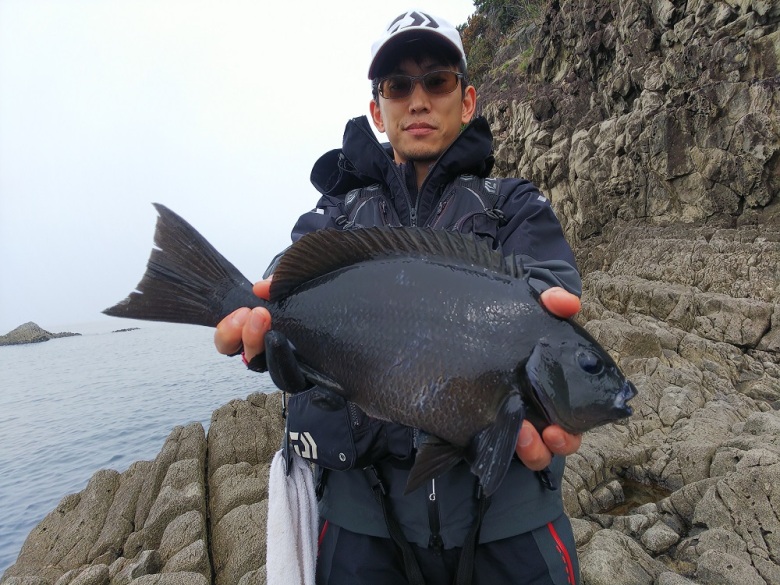 エア エボリューション