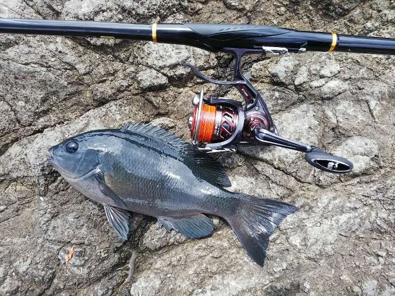 NEW トーナメント ISO LBD