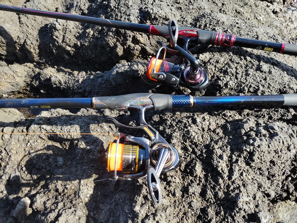 23シグナスLBDと23ラグザスLBD