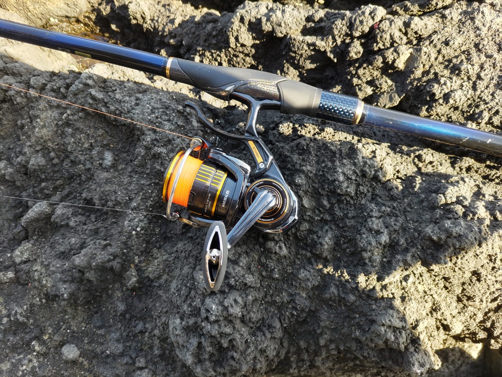 23シグナスLBDと23ラグザスLBD