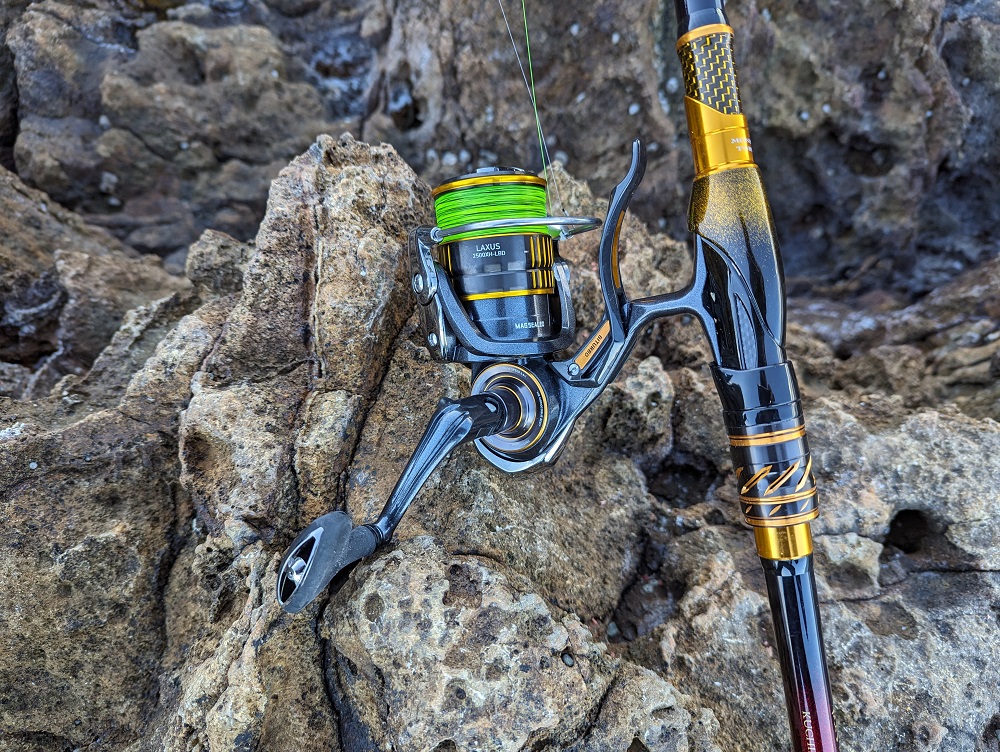 23シグナスLBDと23ラグザスLBD