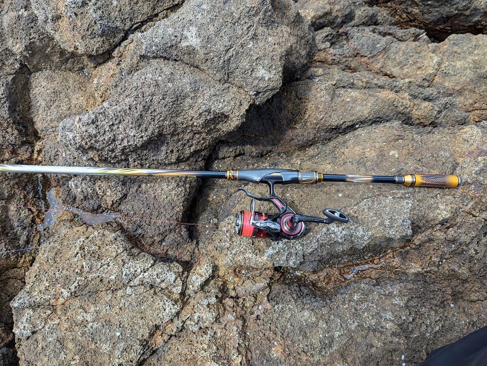 24 TOURNAMENT ISO AGS