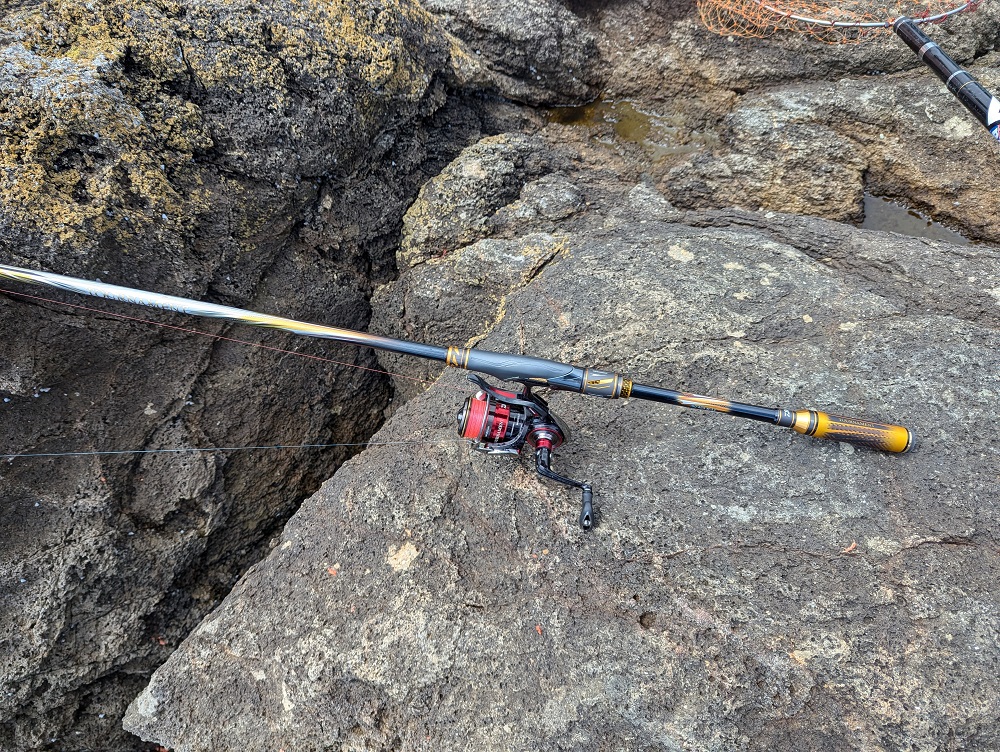 24 TOURNAMENT ISO AGS