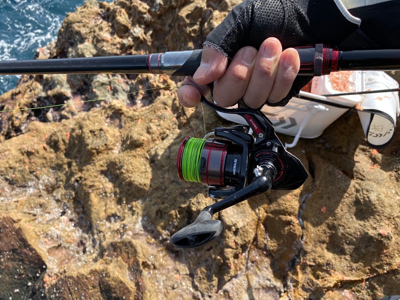 シグナスとラグザス