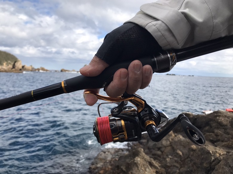 シグナスとラグザス