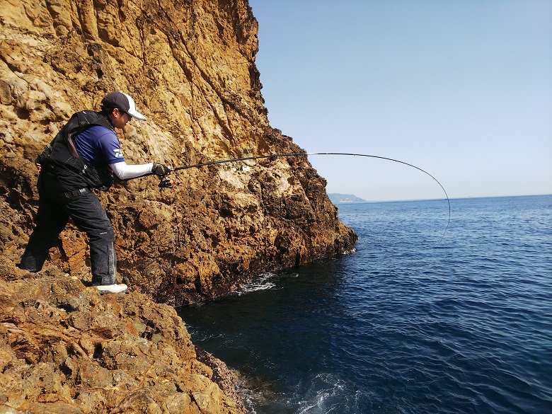シグナスとラグザス