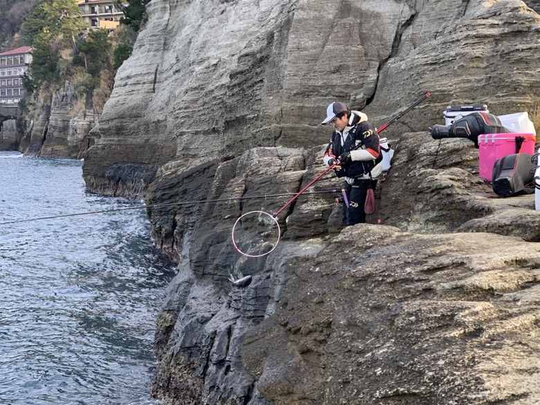 シグナスとラグザス