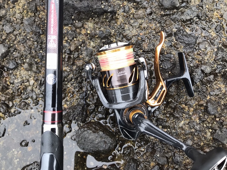 シグナスとラグザス