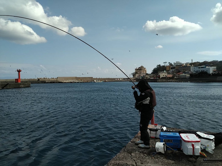 シグナスとラグザス