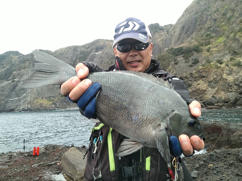 シグナスとラグザス