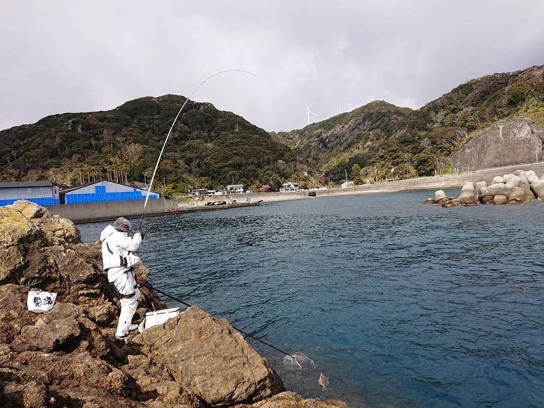 シグナスとラグザス