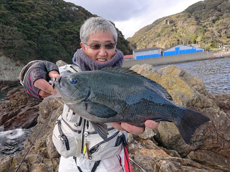 シグナスとラグザス