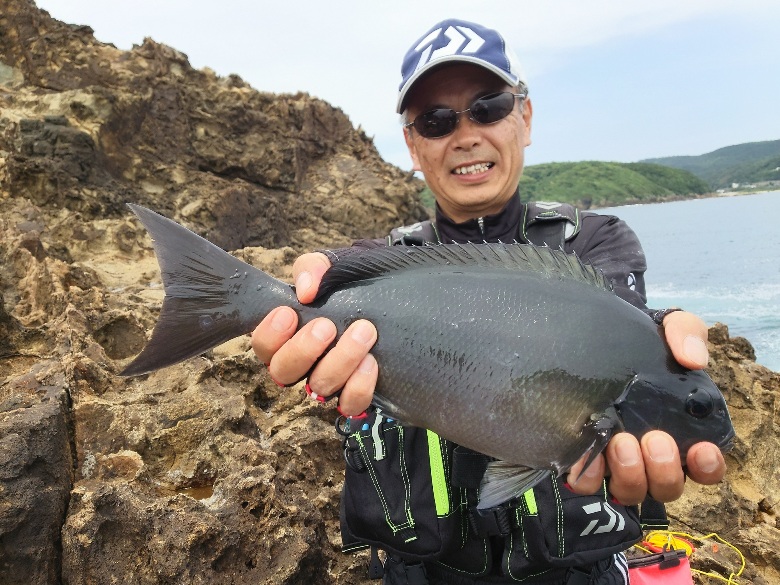 ＮＥＷ波濤インプレッション