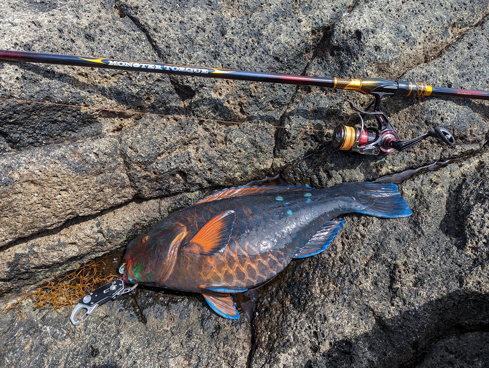 モンスタートルクのインプレ