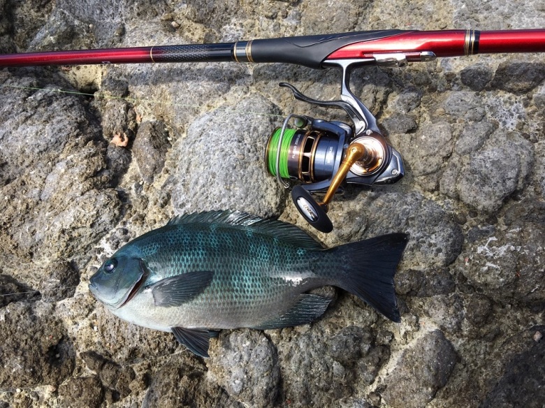 ＮＥＷプレイソインプレッション