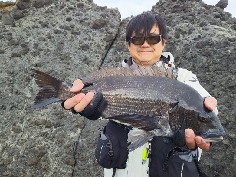 NEWトライソインプレッション