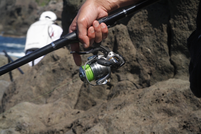 ＮＥＷトライソ