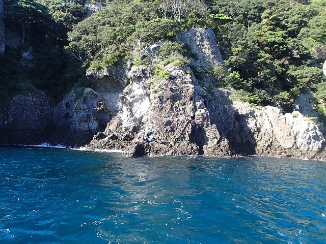 ステップアップ大会２０１６